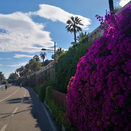 Apartment Class New *