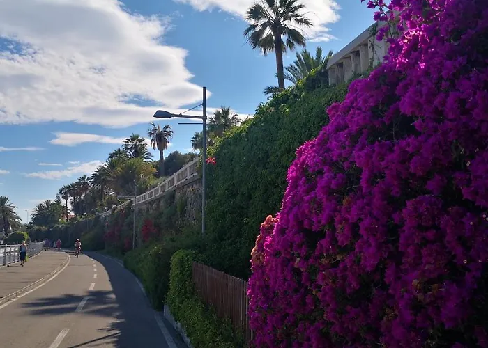 דירה Class New *